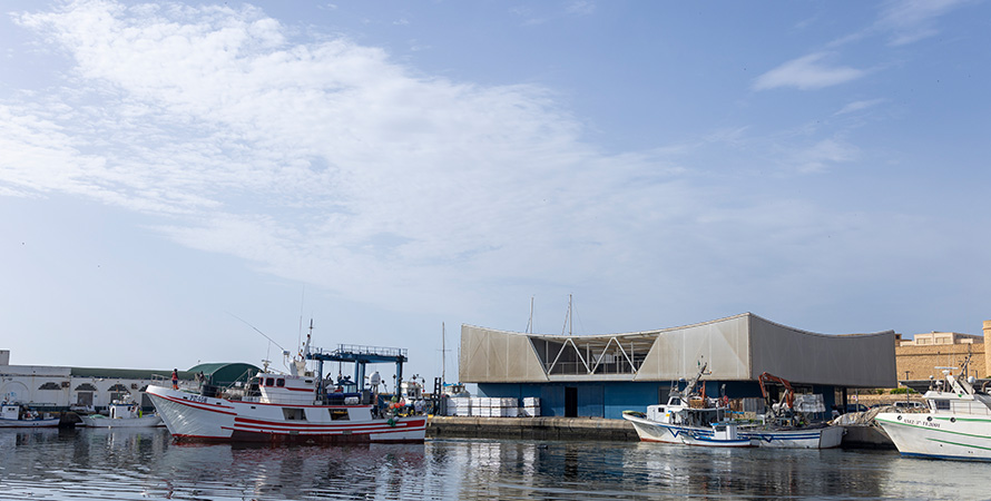 Lonja Roquetas de Mar - Roquebus