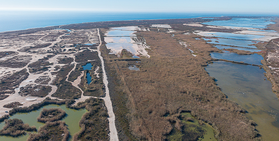 Paraje Natural Punta Entina Sabinar Roquetas de Mar - Roquebus