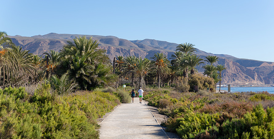 Yacimiento arqueológico de Turaniana Roquetas de Mar - Roquebus